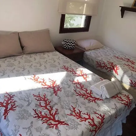 Turkbuku Karaca * Bodrum