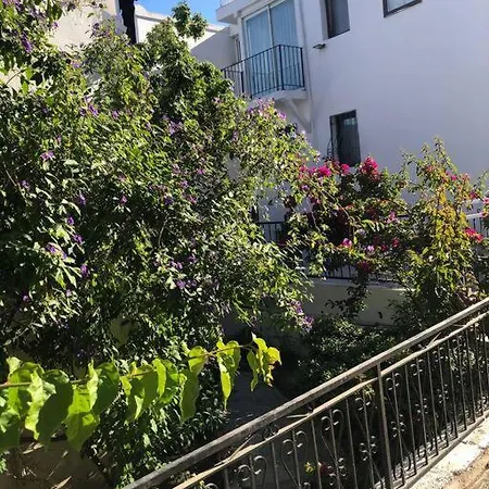 Turkbuku Karaca * Bodrum