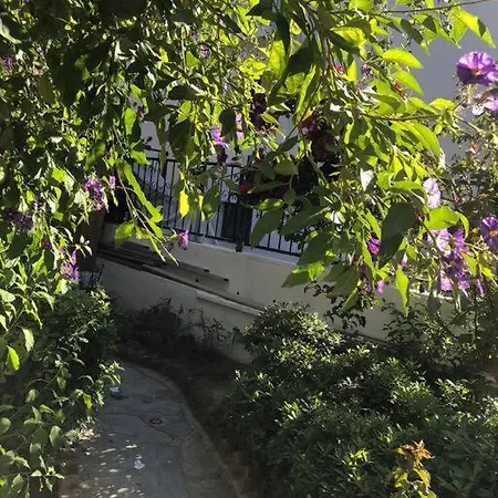 Turkbuku Karaca * Bodrum