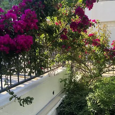 Holiday home Turkbuku Karaca *
